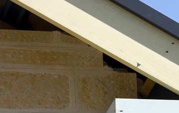 soffit repair Crabbet Park